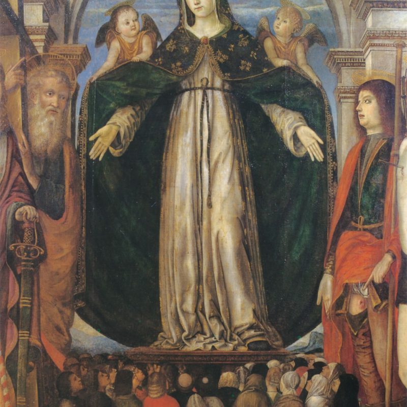 Antonio Solario, Madonna della Misericordia con i santi Giuliano, Andrea, Rocco e Sebastiano, 1503-1504 ca, Macerata, Basilica della Misericordia - Musei Macerata